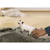 Schleich Galloway govs 13960 melnbalta Ieteicamais vecums 3+
