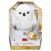 Wizarding World Harry Potter, Enchanting Hedwig interaktīvā pūce ar vairāk nekā 15 skaņām un kustībām un Cūkkārpas aploksne, bērnu rotaļlietas vecumam no 5 gadiem