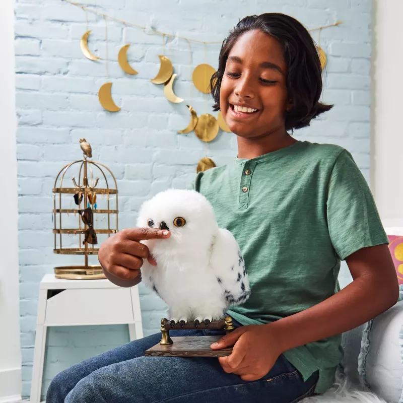 Wizarding World Harry Potter, Enchanting Hedwig interaktīvā pūce ar vairāk nekā 15 skaņām un kustībām un Cūkkārpas aploksne, bērnu rotaļlietas vecumam no 5 gadiem