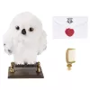 Wizarding World Harry Potter, Enchanting Hedwig interaktīvā pūce ar vairāk nekā 15 skaņām un kustībām un Cūkkārpas aploksne, bērnu rotaļlietas vecumam no 5 gadiem