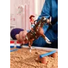 schleich ZIRGU KLUBS Hannas rietumu piedzīvojumi, 5 gadi, Zirgi, Daudzkrāsains, Plastmasa