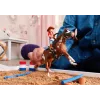 schleich ZIRGU KLUBS Hannas rietumu piedzīvojumi, 5 gadi, Zirgi, Daudzkrāsains, Plastmasa