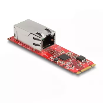 DeLOCK pārveidotājs M.2 Key B+M vīr. uz RJ45 2,5 Gigabit LAN portu