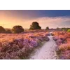 Puzle Ravensburger Pink Pathway Netherlands, 1000 gabali, 700×? mm, 2 mm bieza