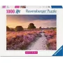 Puzle Ravensburger Pink Pathway Netherlands, 1000 gabali, 700×? mm, 2 mm bieza