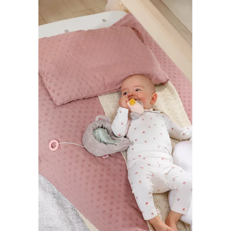 BABY born 839331 pildīta rotaļlieta