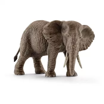 schleich WILD LIFE Āfrikas zilonis, mātīte, 3 gadi, Safari, Savvaļas dzīvnieki / piedzīvojumu rotaļlietas, Daudzkrāsaina, Plastmasa, 1 gab.