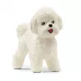 schleich Bichon Frise, 3 gadi, Suņi, Lauksaimniecības dzīvnieki / fermas rotaļlietas, Balts, Plastmasa