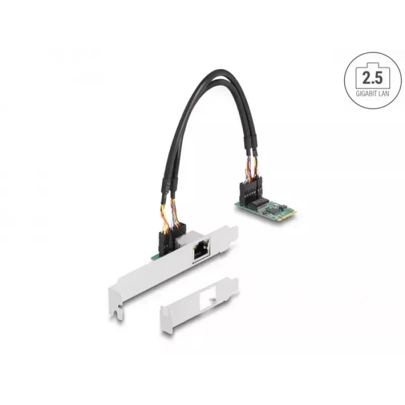 DeLOCK 95272 iekšējā tīkla karte 2500 Mbit/s vadu M.2 Ethernet
