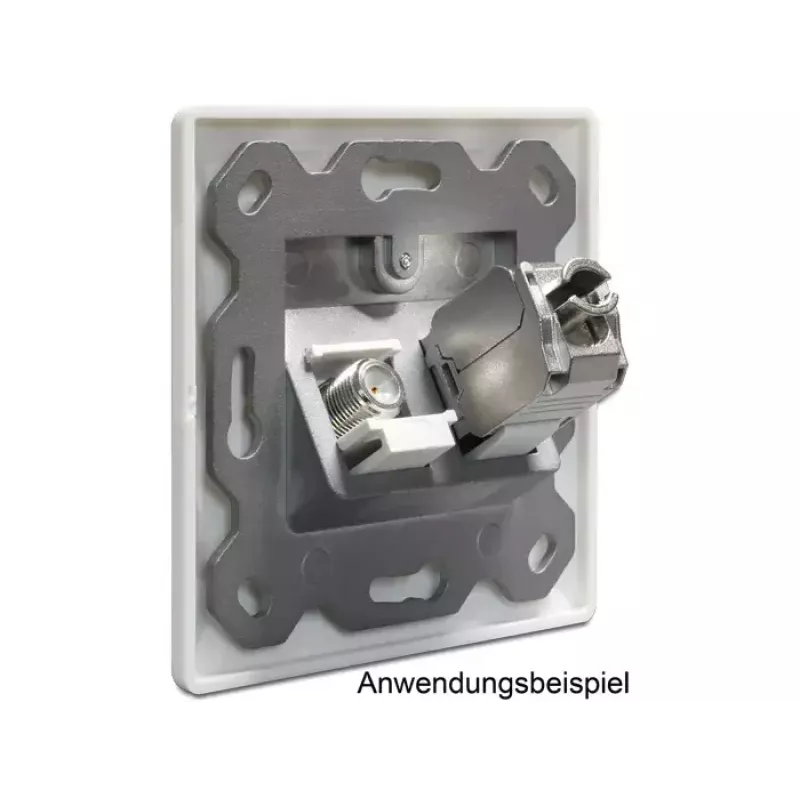 Outlet Box DeLOCK 86202
