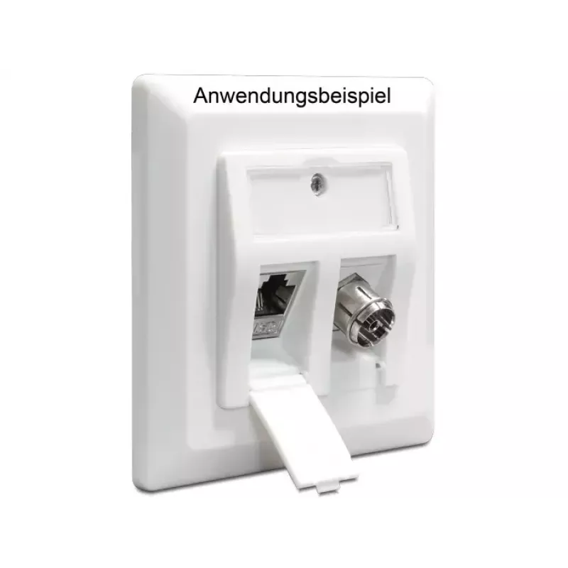 Outlet Box DeLOCK 86202