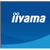 27 collu IIYAMA ProLite XB2797QSU-W1 IPS Quad HD (2560x1440) LED monitors, 178° skata leņķis, USB 3.2 centrmezgls, skaļruņi, VESA, regulējams augstums, balts