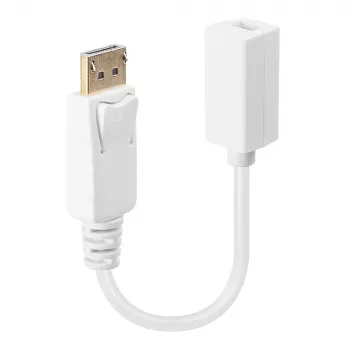Lindy DisplayPort vīriešu uz Mini DisplayPort sieviešu adaptera kabelis