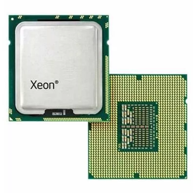 DELL Intel Xeon E5-2620 V4 procesors 2.1 GHz 20 MB Smart Cache