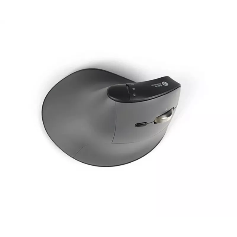 BakkerElkhuizen FastForward Pro pele, labās rokas, vertikāls dizains, optiskā, RF bezvadu + Bluetooth + USB Type-C, 5000 DPI, melna, pelēka