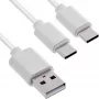 InLine 35122W USB kabelis USB 2.0 2 m USB A 2 x USB C Balts