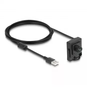 Kamera DeLOCK 96403 USB 2.0 Type-A 1,95 m vada garums