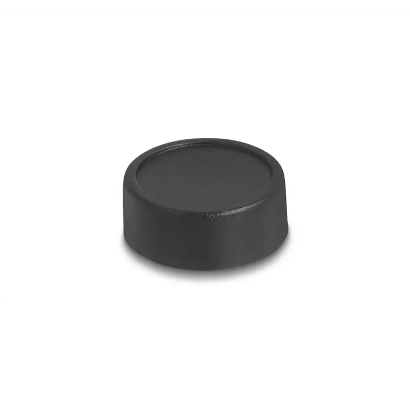 Webcam DeLOCK 12069 2.1 MP 1920 x 1080 pikseļi USB 2.0 Melna