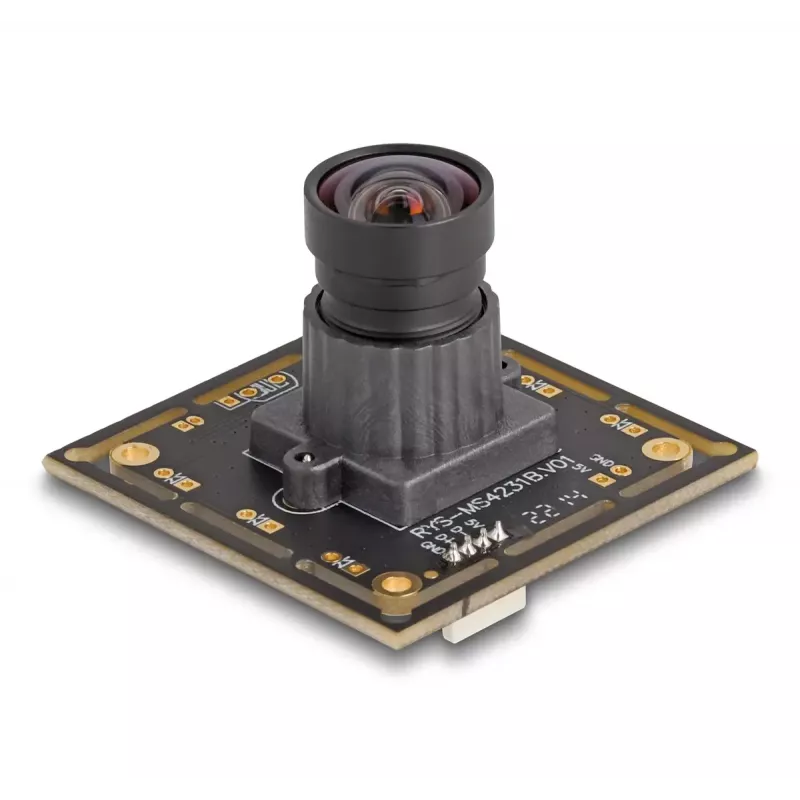 Webcam DeLOCK 12069 2.1 MP 1920 x 1080 pikseļi USB 2.0 Melna