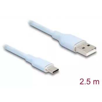 DeLOCK USB kabelis USB 2.0 2,5m USB A USB C zils
