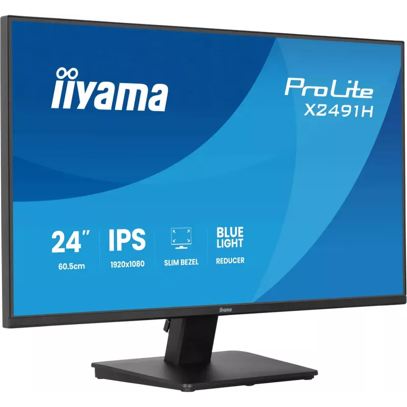 Computer monitor IIYAMA ProLite X2491H-B1 23.8 inch (60.5 cm) IPS LCD Full HD 1920×1080 Matt Melns, VESA