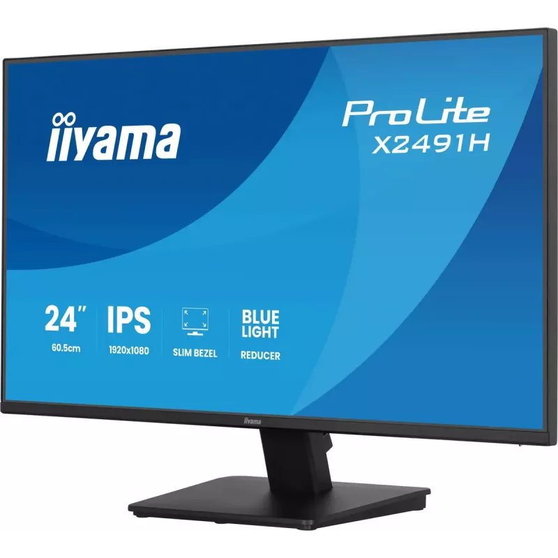 Computer monitor IIYAMA ProLite X2491H-B1 23.8 inch (60.5 cm) IPS LCD Full HD 1920×1080 Matt Melns, VESA