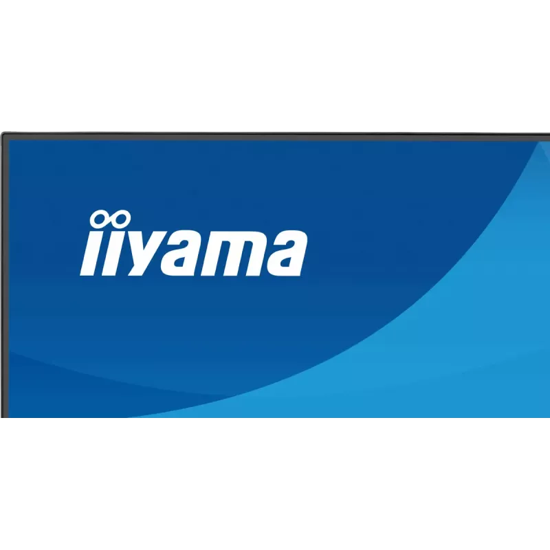 Computer monitor IIYAMA ProLite X2491H-B1 23.8 inch (60.5 cm) IPS LCD Full HD 1920×1080 Matt Melns, VESA