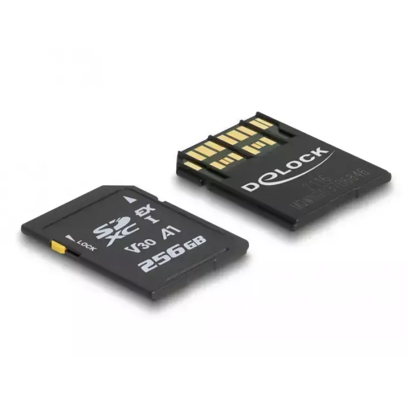 Atmiņas karte DeLOCK 256GB SD UHS-I 54091