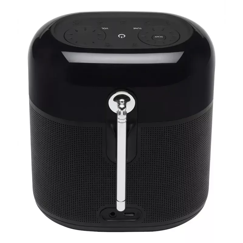 Portatīvais radio JBL Tuner XL Melns Digitālais DAB 10W