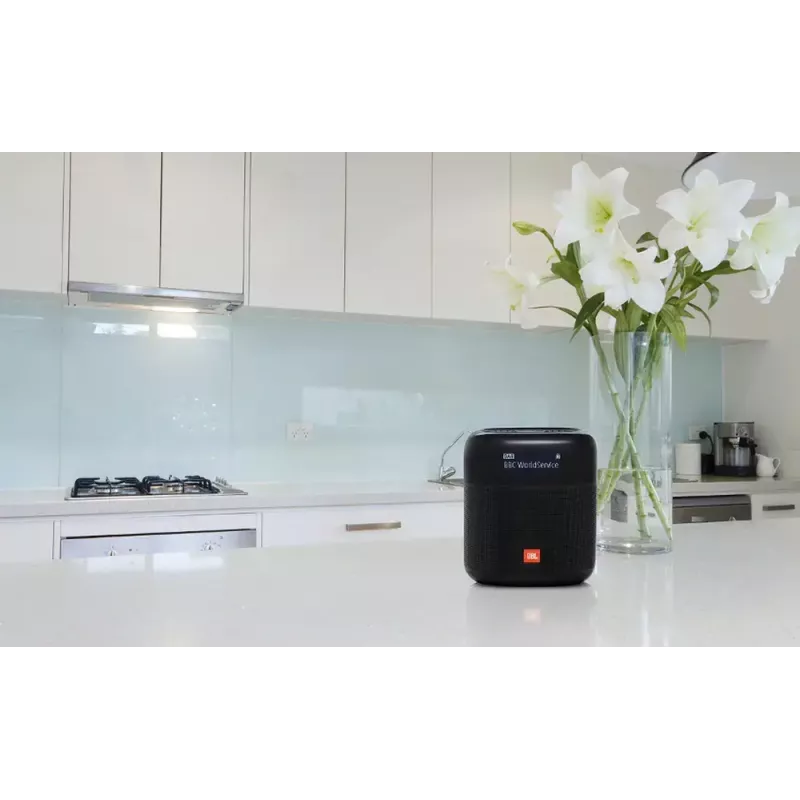 Portatīvais radio JBL Tuner XL Melns Digitālais DAB 10W