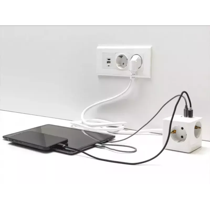DeLOCK 11497 kontaktligzda CEE 7/3 + USB balta 250 V 16 A