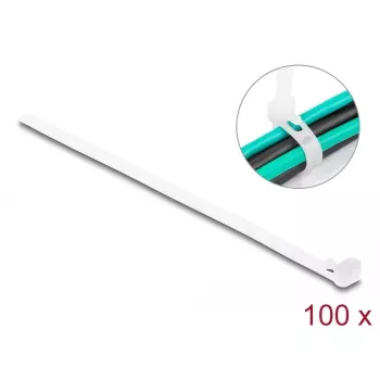 Āķa un cilpas kabeļu saite DeLOCK 18643 L 150 x P 7,2 mm 100 gab. balta