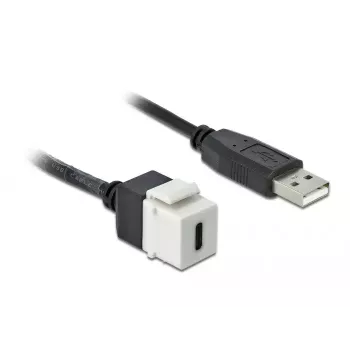 Keystone Module DeLOCK 86382 plakans Melns balta USB C