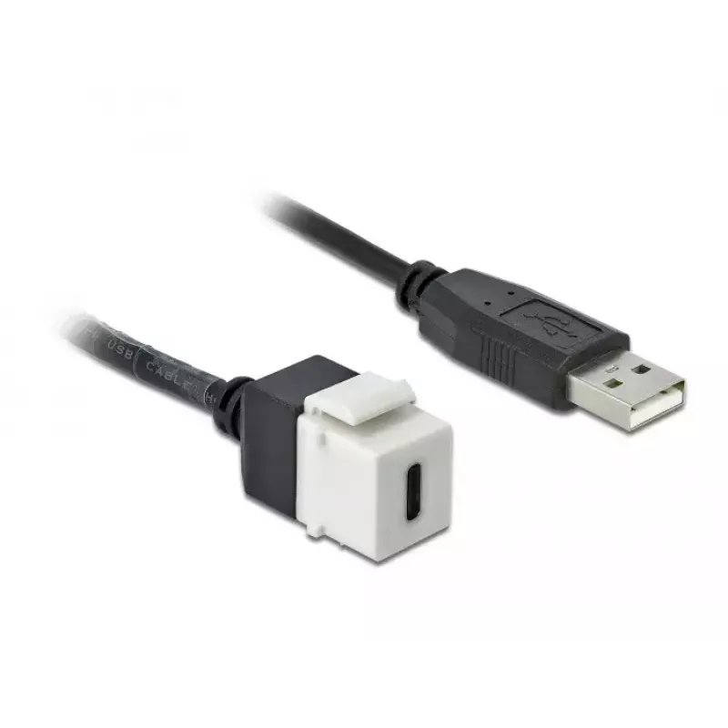 Keystone Module DeLOCK 86382 plakans Melns balta USB C