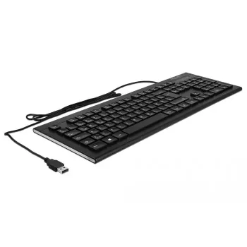 DeLOCK 12672 tastatūra, biroja, USB, QWERTZ, vācu, melna