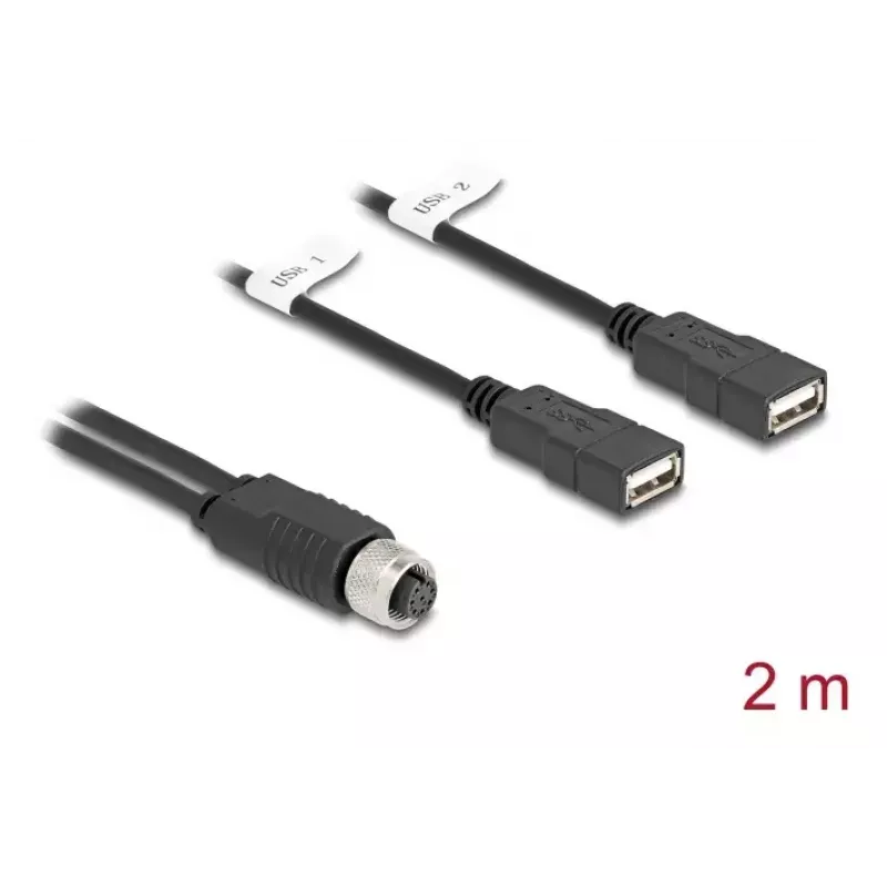 DeLOCK sensoru/izpildmehānismu kabelis 2 m M12 2 x USB Type-A melns 60291