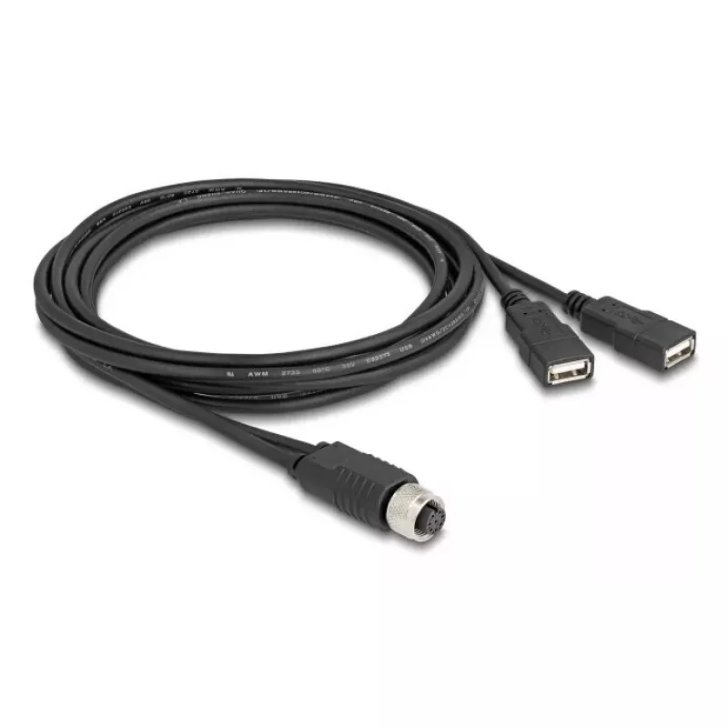 DeLOCK sensoru/izpildmehānismu kabelis 2 m M12 2 x USB Type-A melns 60291