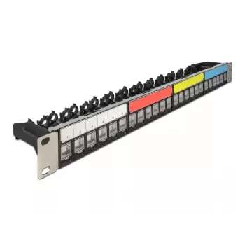 Patch Panel DeLOCK 19 inch 24 Port with kabelis Fixing Rail