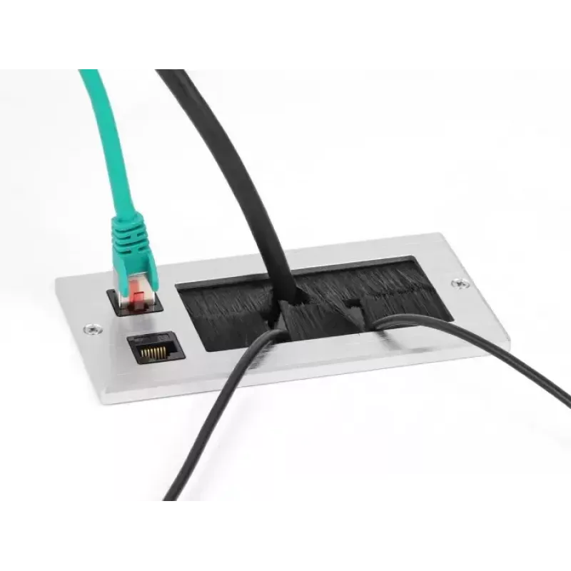 DeLOCK kabeļu ievads ar birstīti un 2 x RJ45 Keystone moduļiem Cat.6, alumīnijs