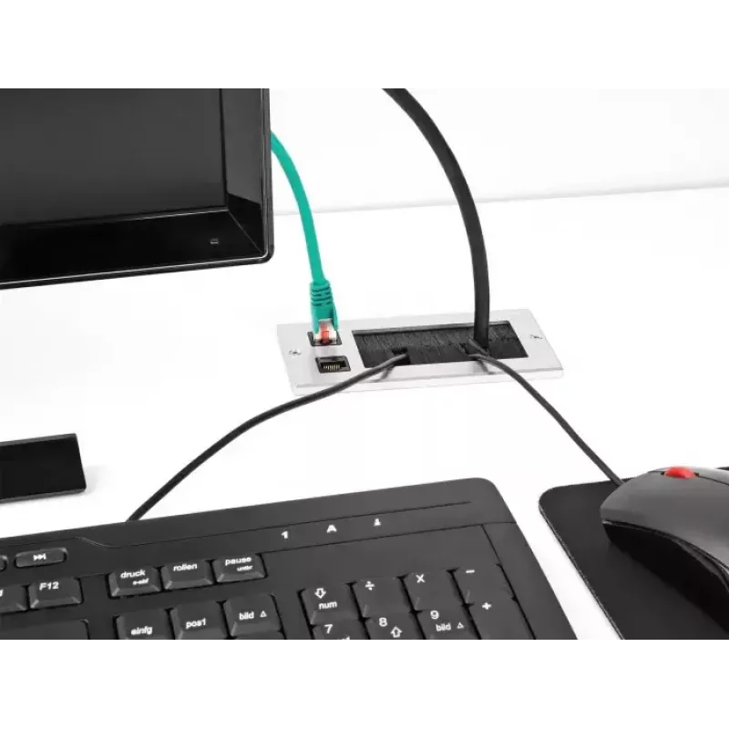 DeLOCK kabeļu ievads ar birstīti un 2 x RJ45 Keystone moduļiem Cat.6, alumīnijs