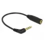 Audio kabelis DeLOCK 0,175 m 3,5 mm/2,5 mm melns