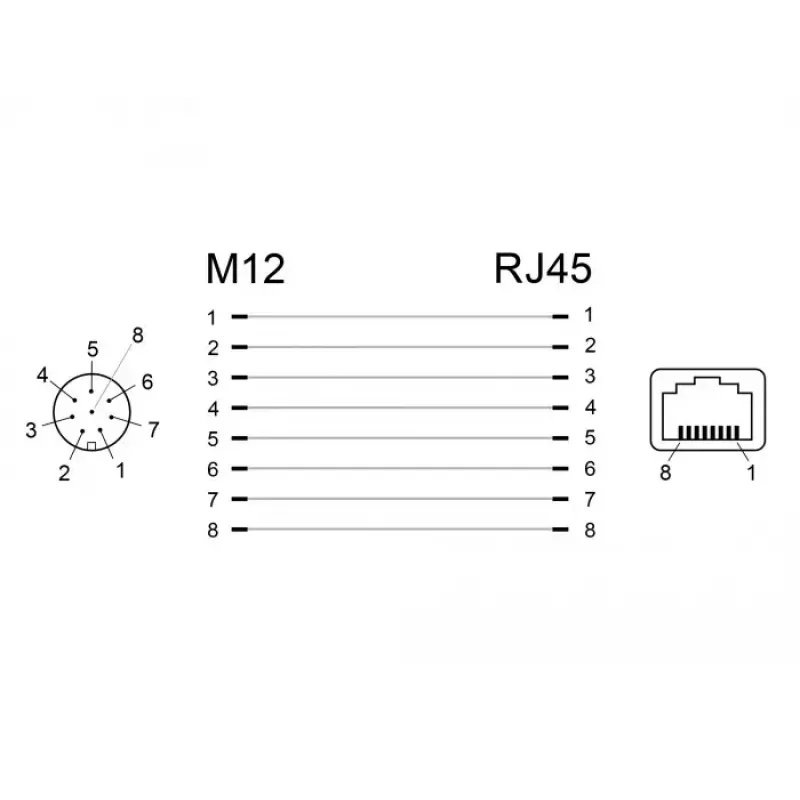 Kabeļa dzimuma mainītājs DeLOCK 66314 M12 RJ45 melns