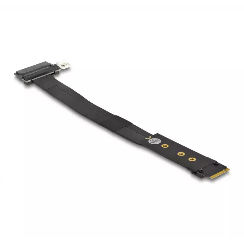 DeLOCK M.2 Key M uz U.2 SFF-8639 NVMe adapteris ar 20 cm kabeli