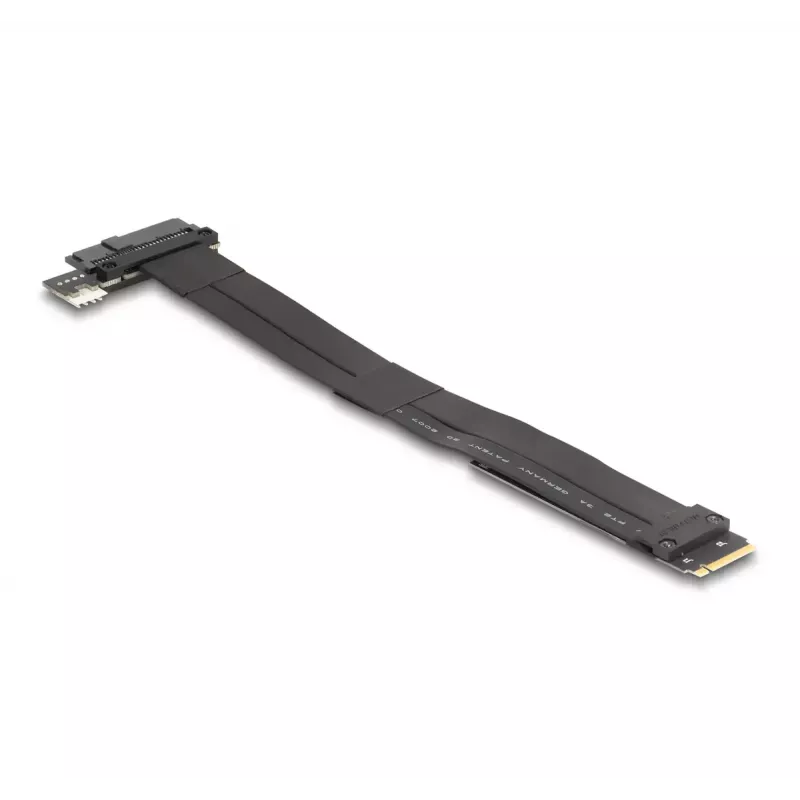 DeLOCK M.2 Key M uz U.2 SFF-8639 NVMe adapteris ar 20 cm kabeli