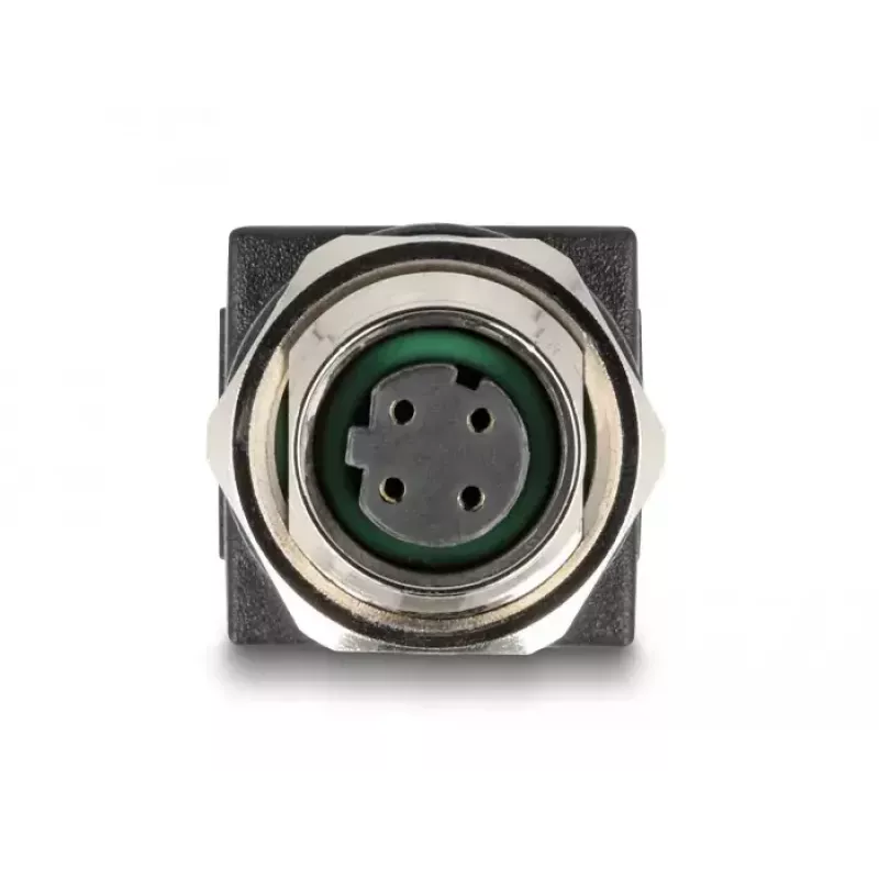 DeLOCK M12 adapteris D-kodēts 4 kontaktu sievišķais uz RJ45 ligzdu taisns