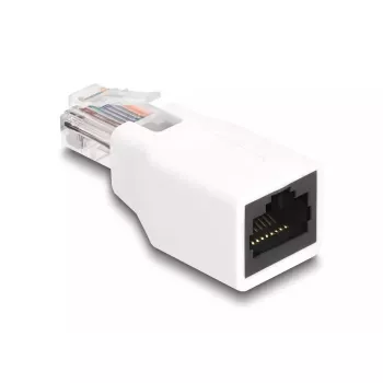 DeLOCK 88002 savienotāju adapteris RJ50 Balts