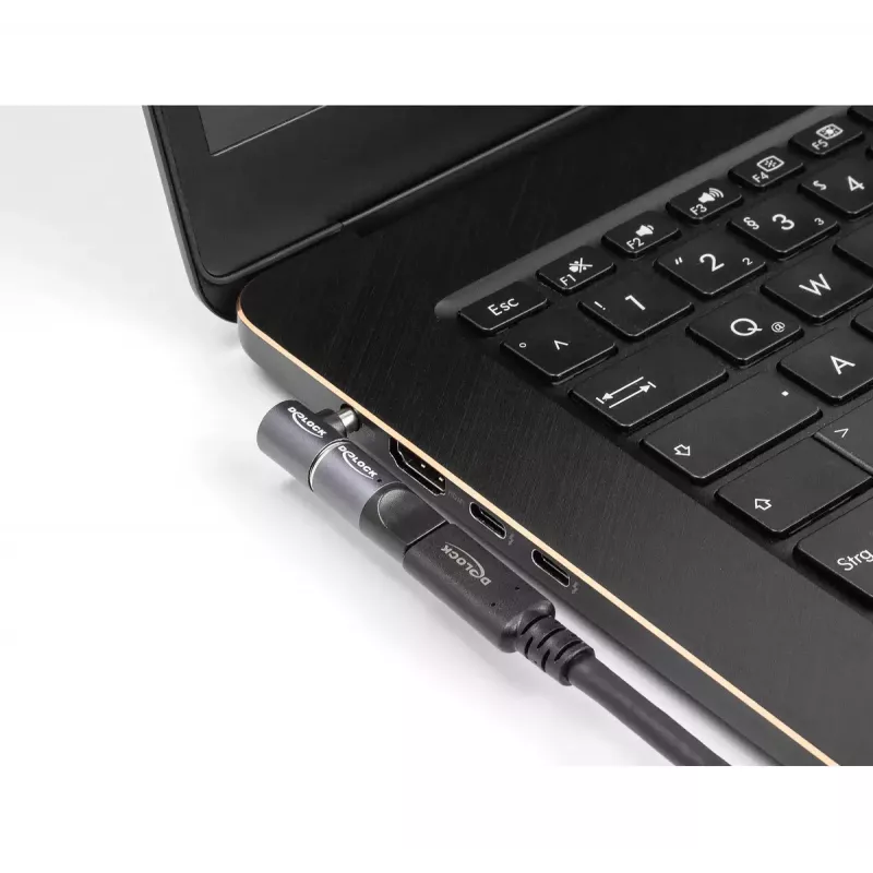 Kabeļu savienotājpāreja DeLOCK 80788 Dell 7.4 x 5.0 mm 8 kontaktu antracīta