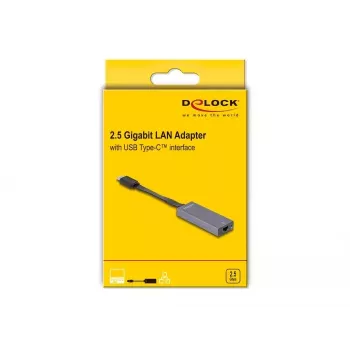 DeLOCK 66248 kabeļa dzimuma mainītājs RJ-45 USB C pelēks 0,09 m