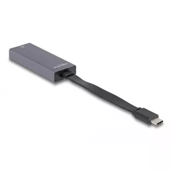 DeLOCK 66248 kabeļa dzimuma mainītājs RJ-45 USB C pelēks 0,09 m