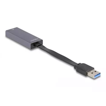 DeLOCK 66247 kabeļa dzimuma mainītājs RJ-45 USB A pelēks 0.09 m